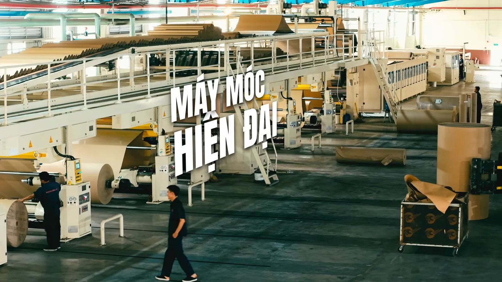 Kể chuyện thương hiệu bằng hình ảnh: từ cảm xúc đến chuyển đổi
