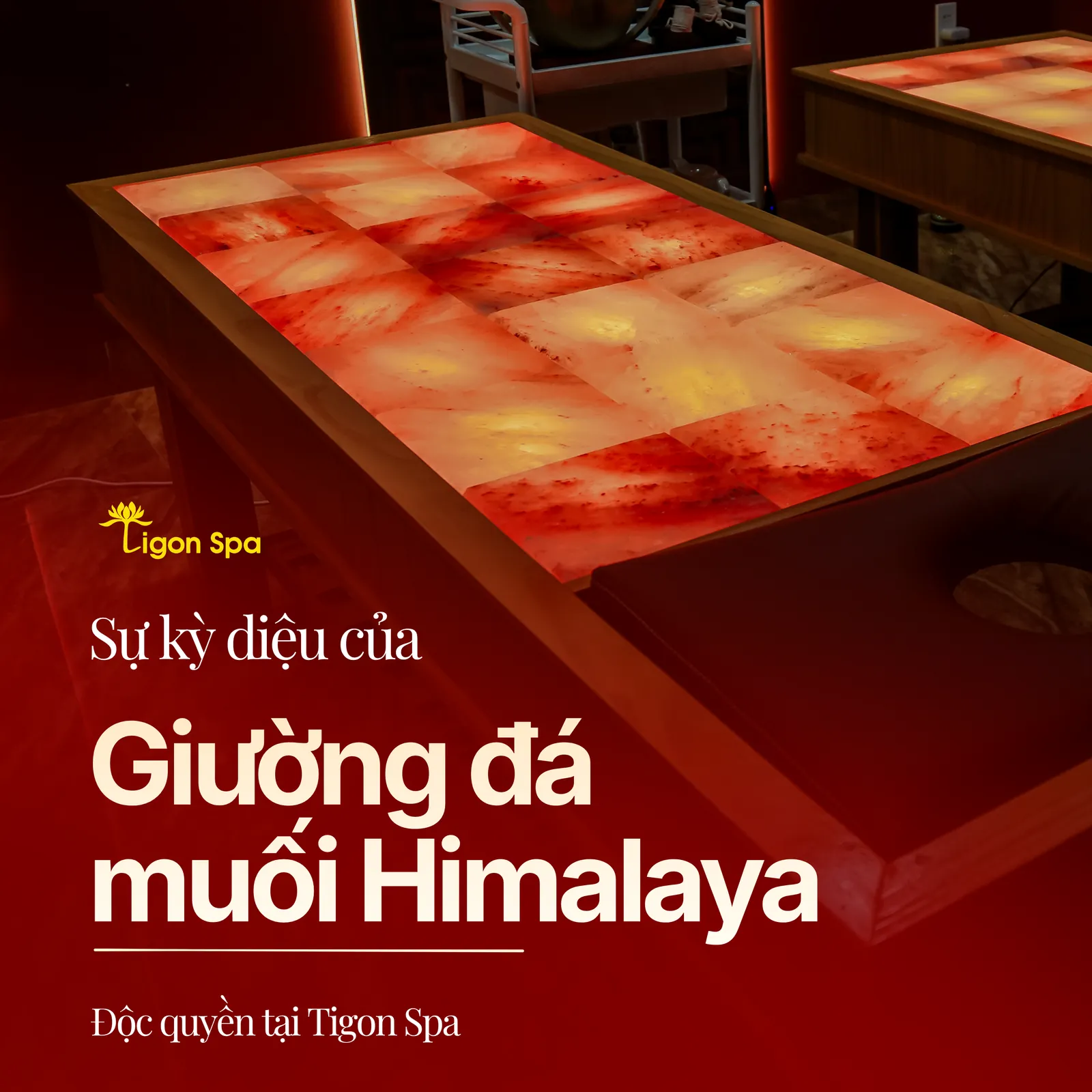 Thiết kế hình ảnh 1-3
