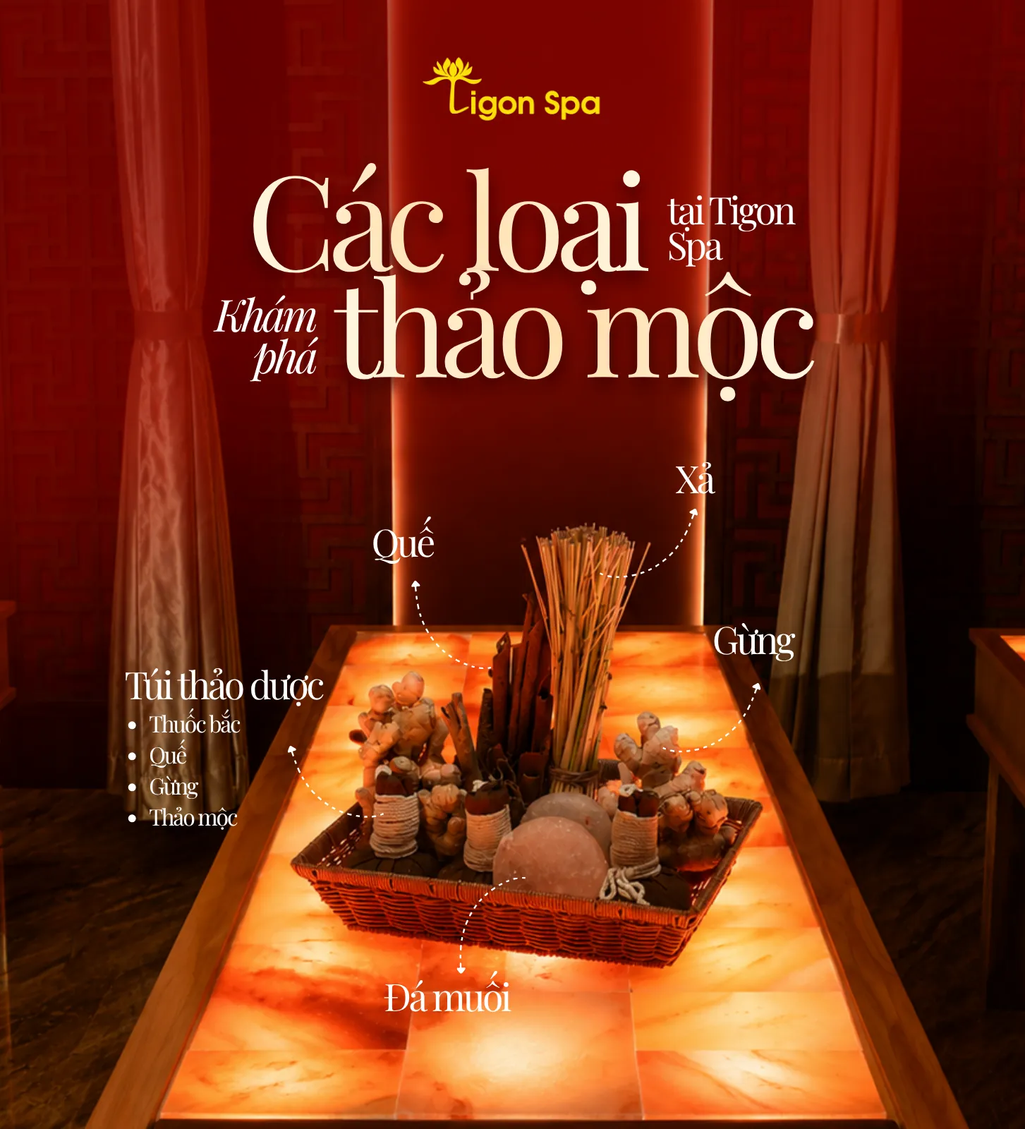 Thiết kế hình ảnh 2-3