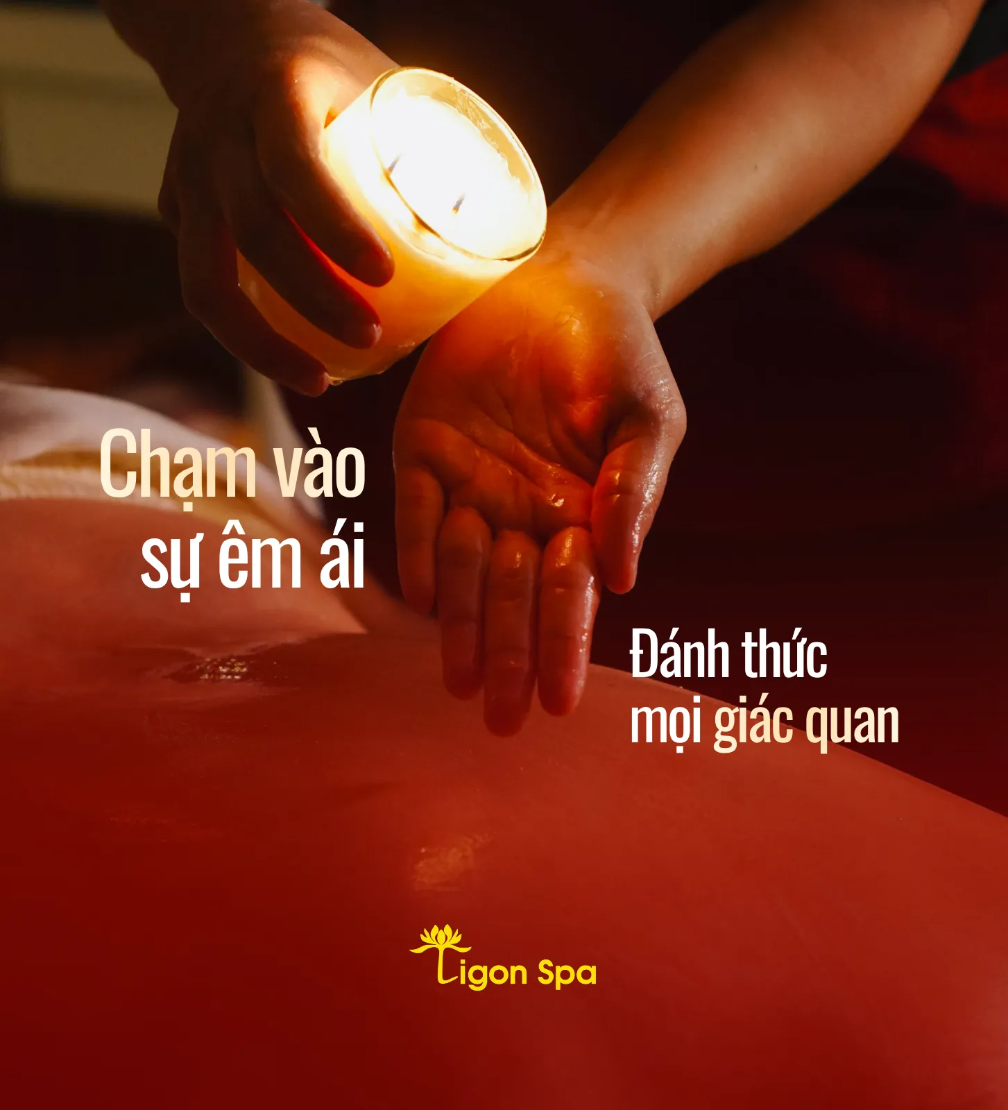 Thiết kế hình ảnh 2-4