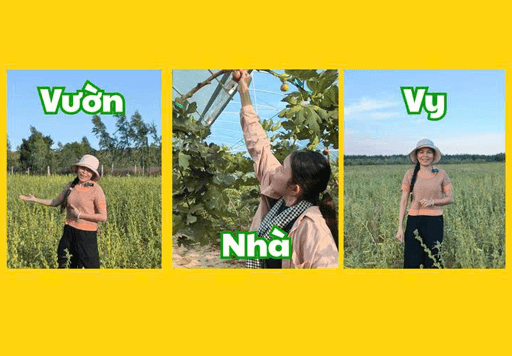 VƯỜN NHÀ VY